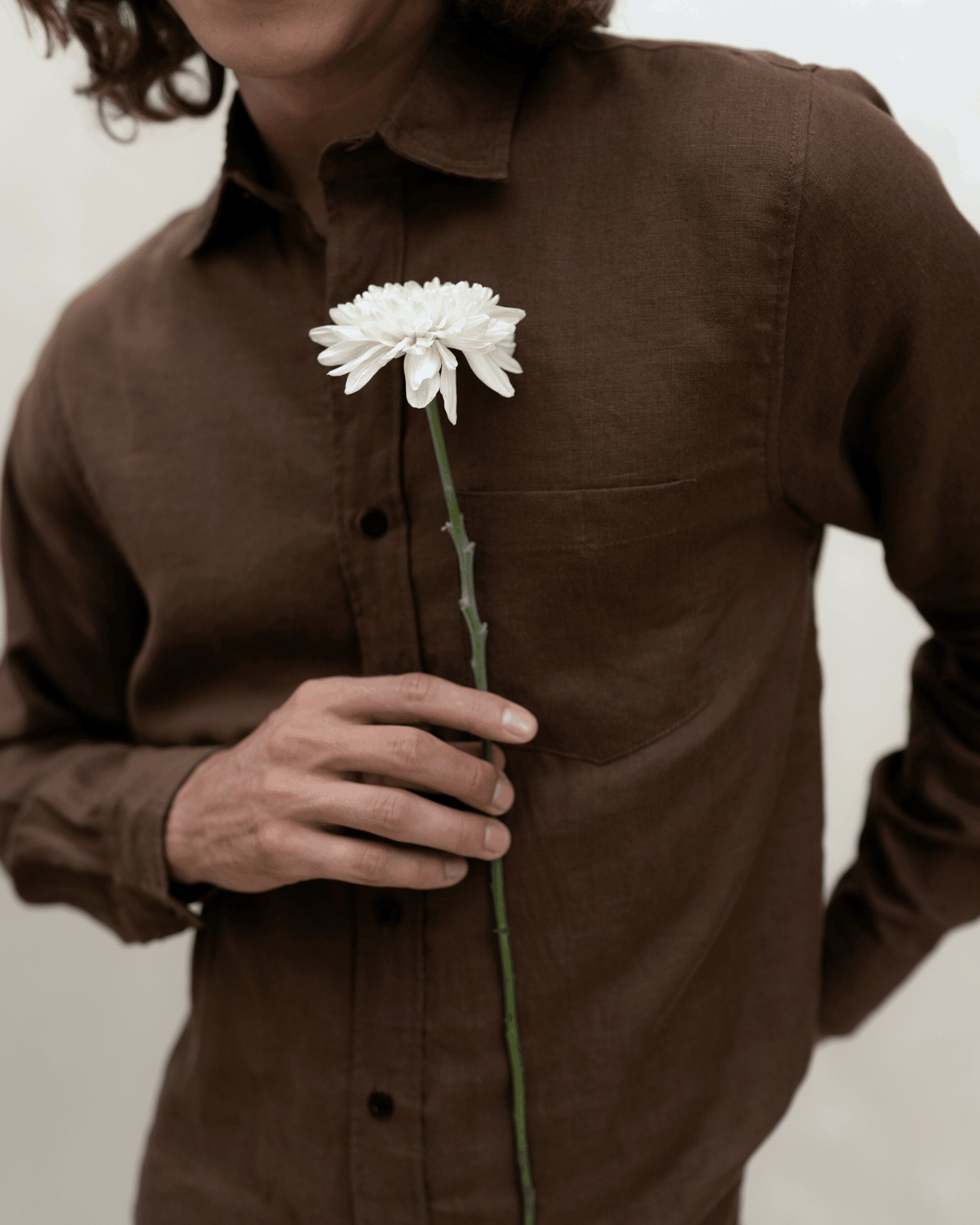 Regular Fit Linen Brown Shirt